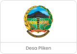 desa pliken